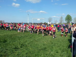 爱游戏娱乐平台-青少年选拔机制改革更加公开透明吸引更多优秀苗子参与，青少年选拔赛比赛结果